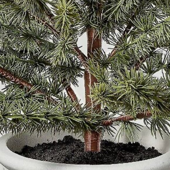 Hearth & Hand with Magnolia Faux Spruce Tree in Fluted Porch Pot NEW WITH TAG - Picture 2 of 3